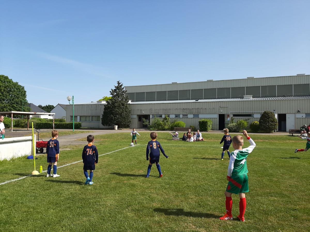 U6/U7