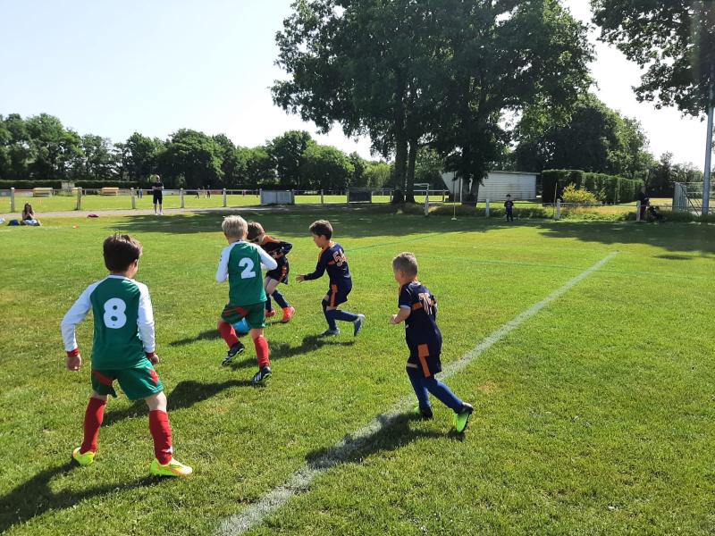 U6/U7