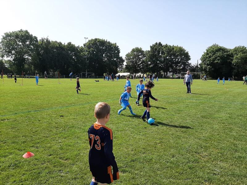 U6/U7