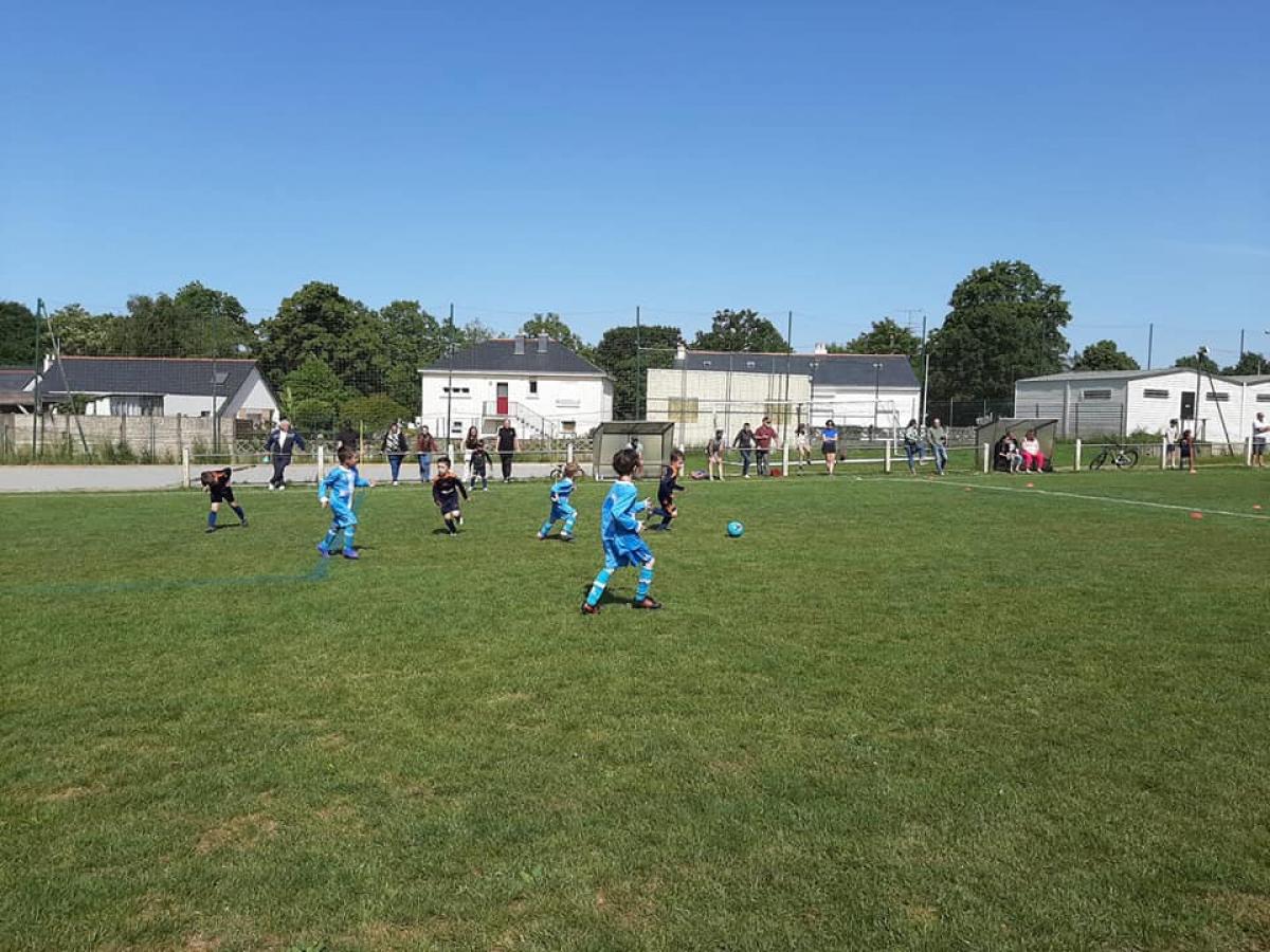 U6/U7